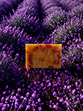 fayza-natural-glow-used-Lavender {{brizy_dc_image_alt imageSrc=